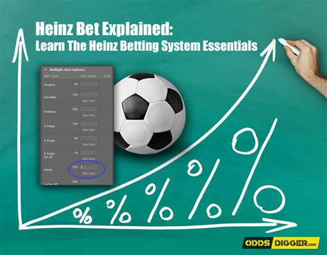 heinz bet explained|Heinz Betting System .